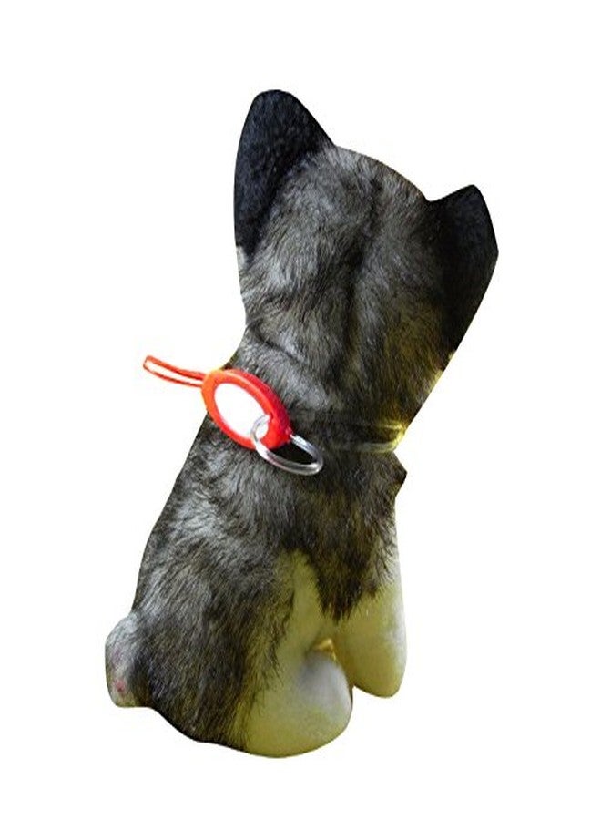 فوتابا ملحقات طوق الكلاب المضيء بتقنية LED من فوتابا - أحمر - Image 1